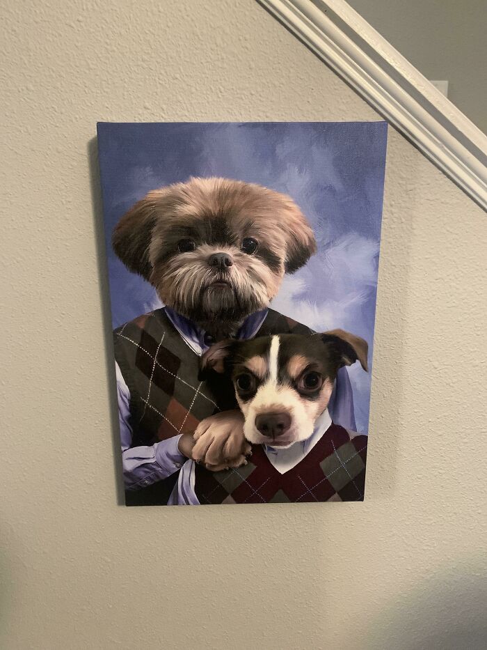 Funny animal photos: A painting of two dogs dressed in argyle sweaters, resembling a human portrait.