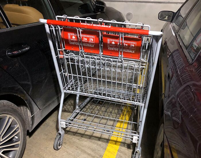A Costco shopping cart left between two cars in a parking lot, showing entitled men's disregard.