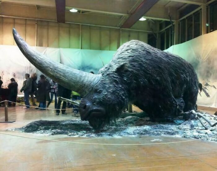 An extremely large, scary, and eerie ancient woolly rhino sculpture in a museum exhibit.