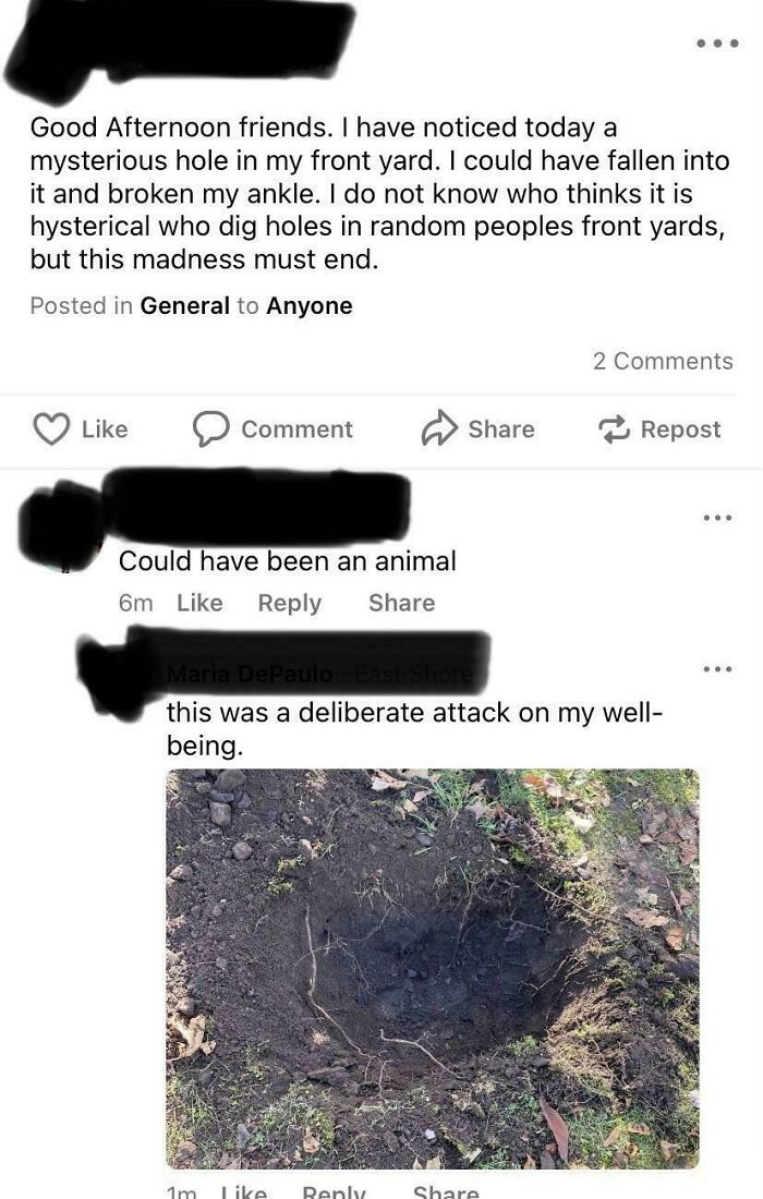A screenshot from a neighborhood online community about a mysterious hole in a front yard. Wild screenshots from online communities.