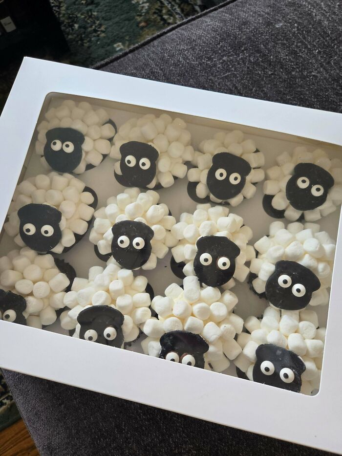 A box of cute sheep-shaped cupcakes made with marshmallows, showing a baker's amazing and delicious treats.