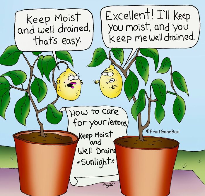 40 New “Fruit Gone Bad” Comics That Turn Everyday Produce Into Hilarious Comedy Gold