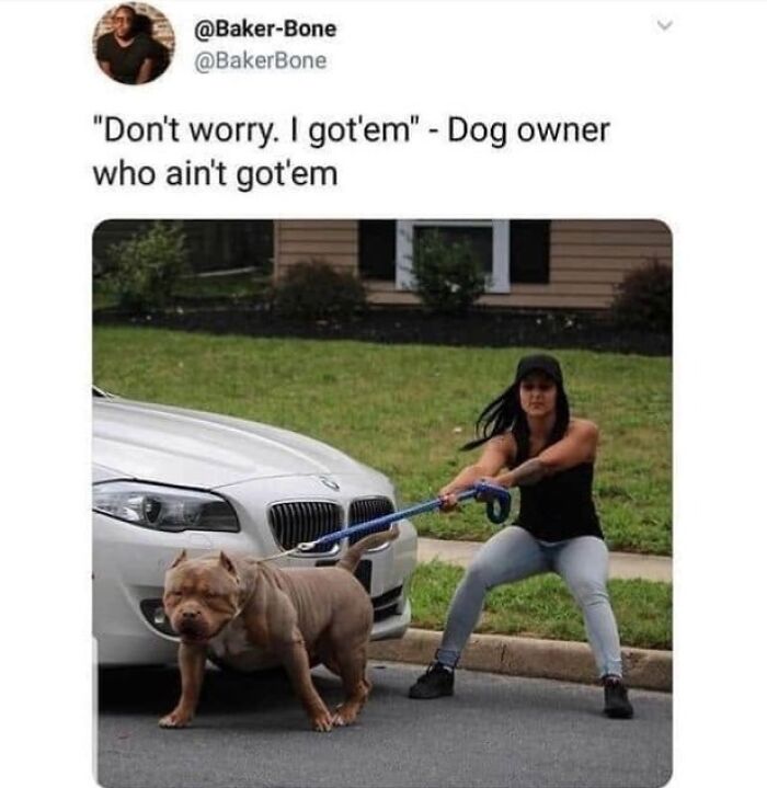 A funny dog meme showing a woman struggling to hold her strong dog on a leash.