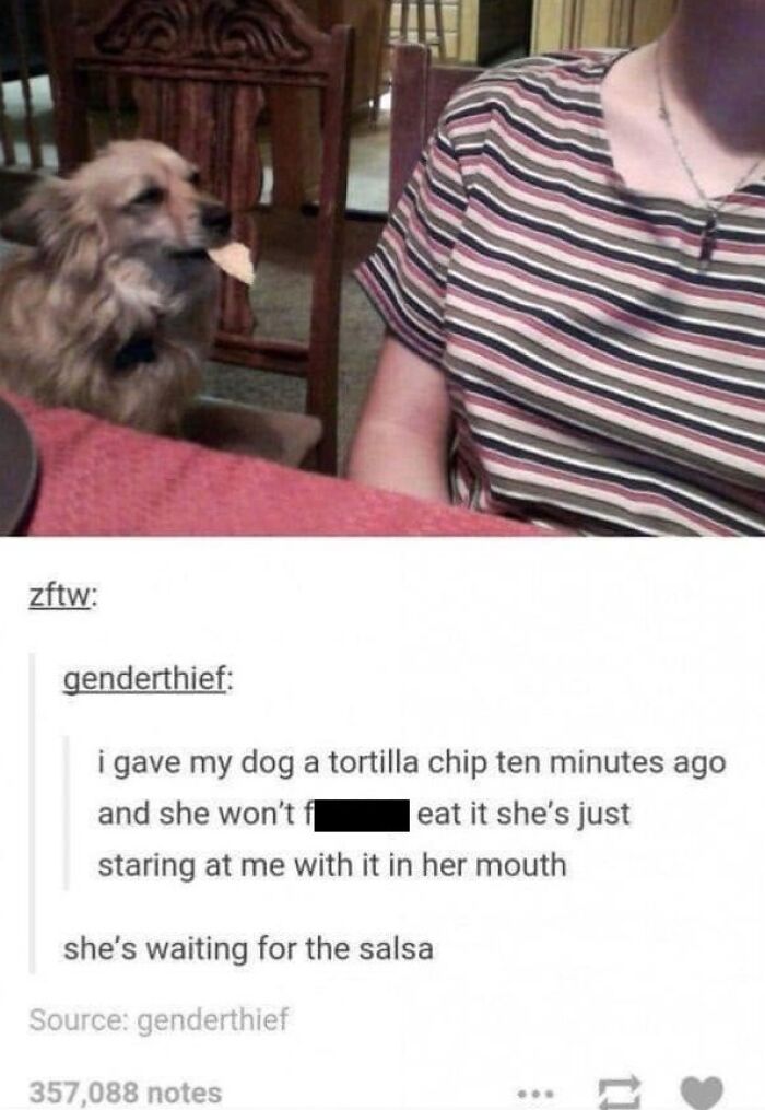 A funny dog meme of a dog holding a tortilla chip, waiting for salsa, a relatable scene for pet owners.