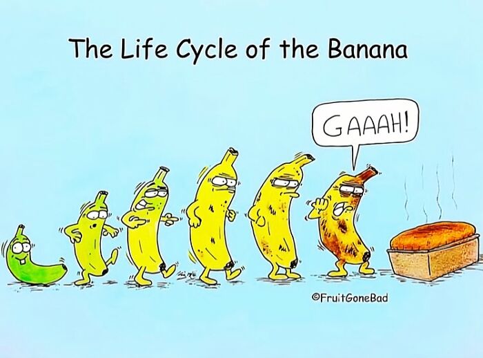40 New “Fruit Gone Bad” Comics That Turn Everyday Produce Into Hilarious Comedy Gold