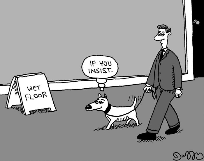 Absurd cartoons by J.C. Duffy: A man walking his dog past a WET FLOOR sign, the dog thinking, IF YOU INSIST.