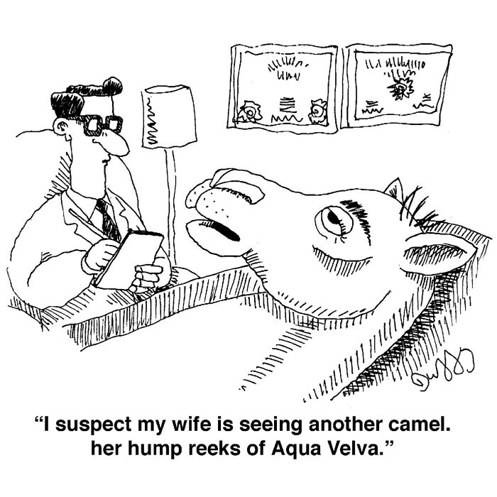 Absurd cartoons by J.C. Duffy illustrating a camel on a therapy couch, discussing marital issues.