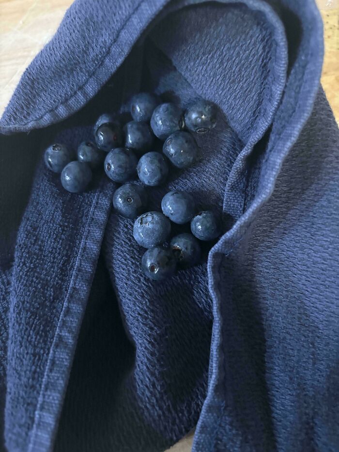 Fresh blueberries are nestled on a dark blue towel, their deep color a satisfying paint match to the fabric.