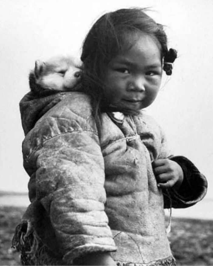 An aww-worthy photo of a young child carrying a small dog on their back.