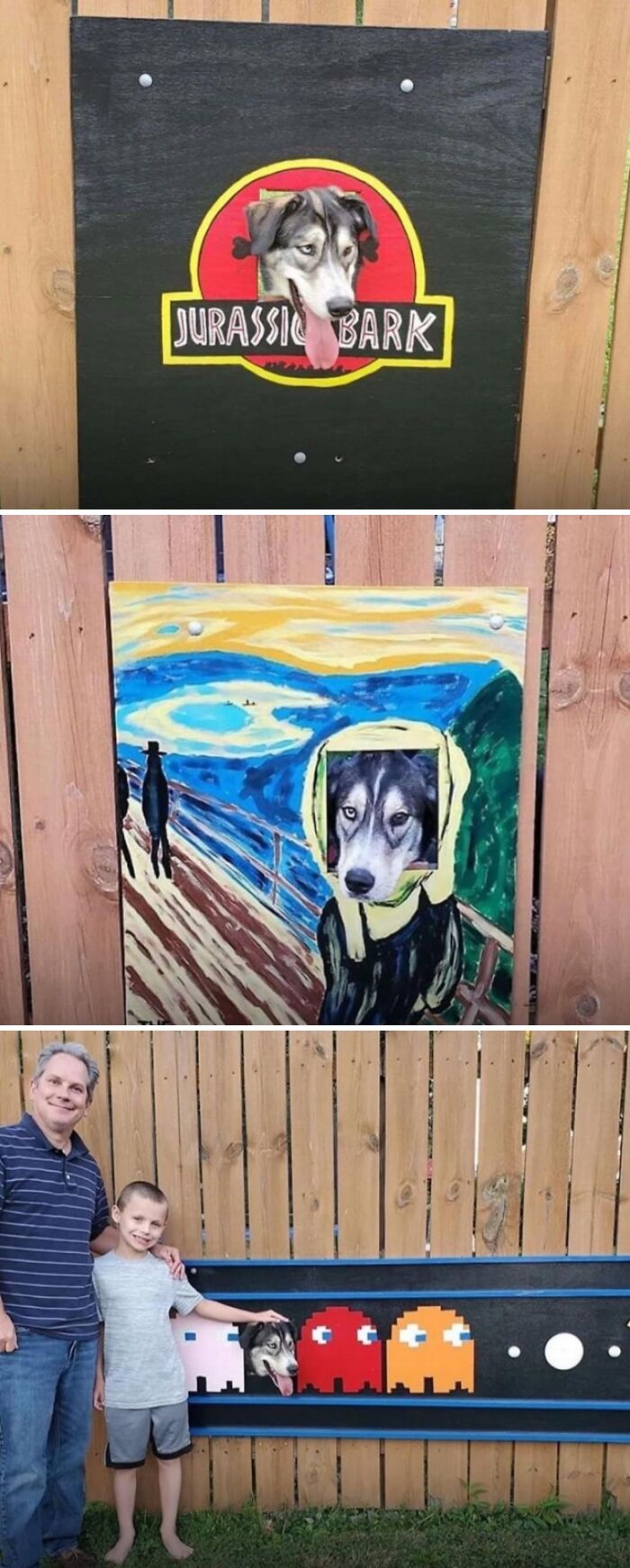 A dog posing in three different cut-out boards, including Jurassic Bark and a Scream parody. Aww-worthy photos can lift your spirits.