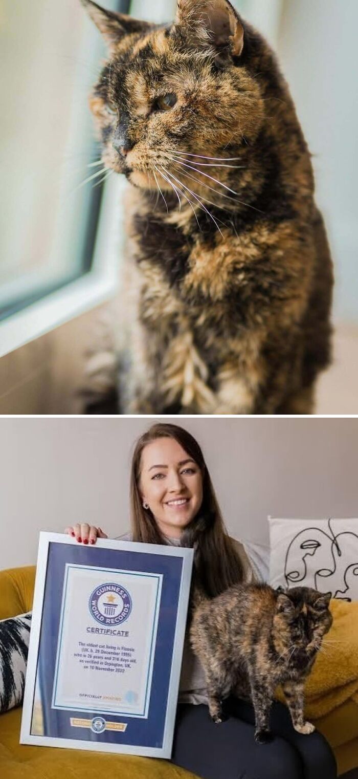 Aww-worthy photos of a tortoiseshell cat, the oldest cat in the world, lifting spirits.
