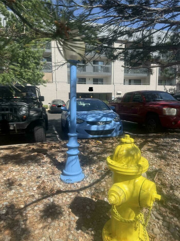 A blue lamp post and a yellow fire hydrant perfectly matching a blue car and a yellow car in the background, showing satisfying paint matches.