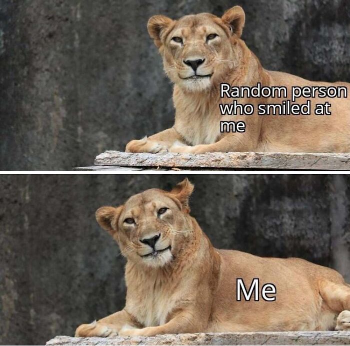 This Facebook Page Shares The Funniest And Cutest Animal Memes On The Internet, And Here Are 50 Of The Best Ones