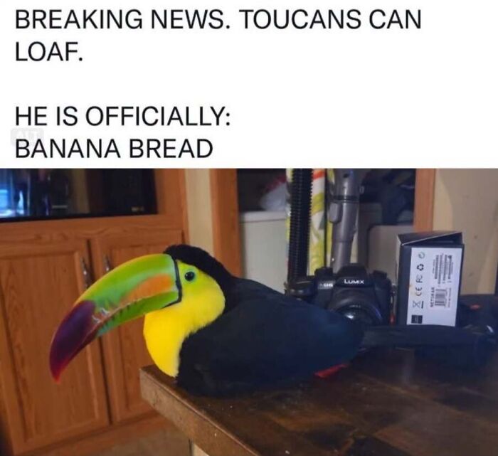 This Facebook Page Shares The Funniest And Cutest Animal Memes On The Internet, And Here Are 50 Of The Best Ones