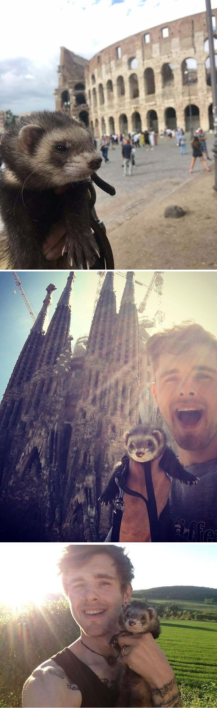 A man with his ferret at famous landmarks and in a field, sharing aww-worthy moments.
