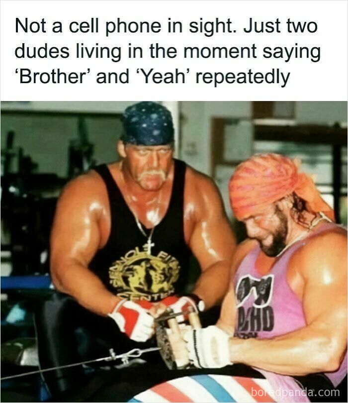 Two muscular wrestlers, Hulk Hogan and Macho Man Randy Savage, in a meme celebrating superior decades of the 80s and 90s.