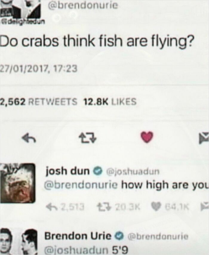 A weird meme of a Twitter exchange where Brendon Urie asks if crabs think fish are flying.