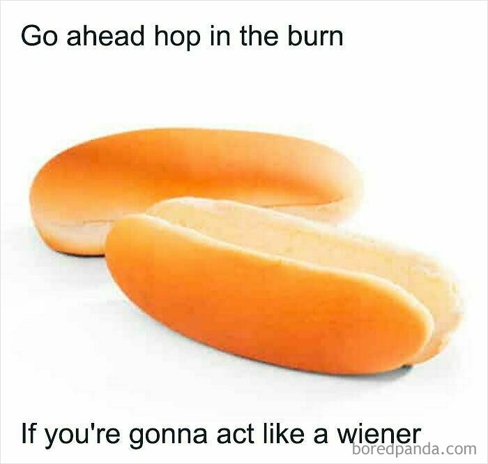A weird meme with two hot dog buns and text saying: Go ahead hop in the bun If you're gonna act like a wiener.