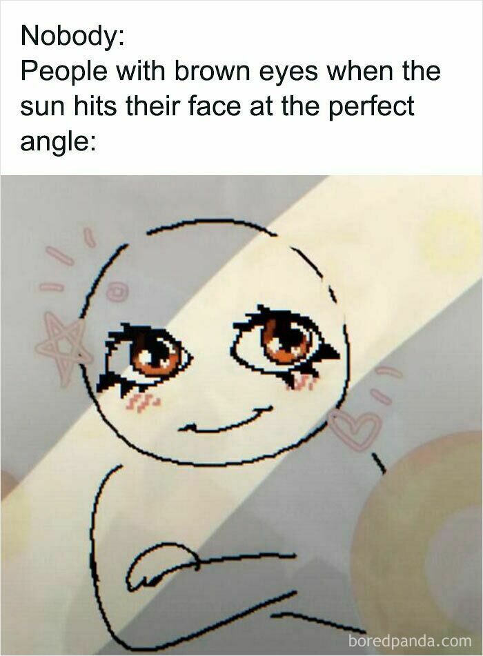 A weird meme showing a cartoon person with sparkling brown eyes when sun hits them.