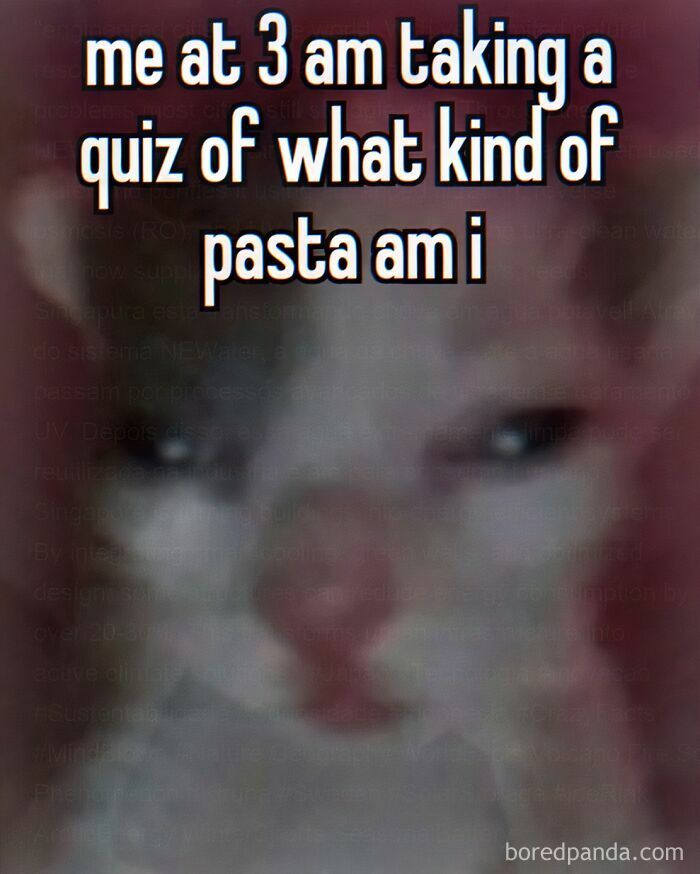 A weird meme showing a blurry cat with text me at 3 am taking a quiz of what kind of pasta am i, about late-night quizzes.