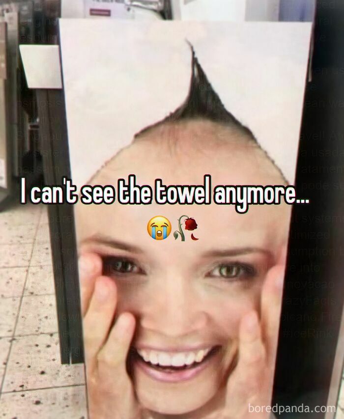 A weird meme showing a woman's face printed on a tall object, making it appear as if she has a tall hairstyle.