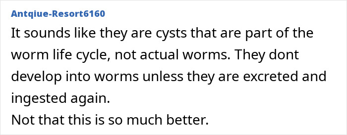 A screenshot of a comment by user Antqjue-Resort6160 discussing cysts as part of a worm life cycle, a brain cancer horror story.