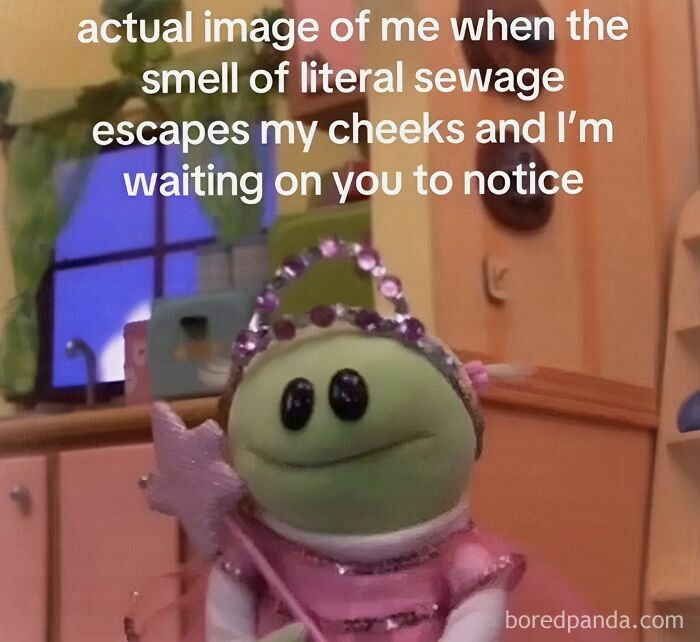 A weird meme showing a green puppet in a pink dress and a wand, with text about the smell of sewage.