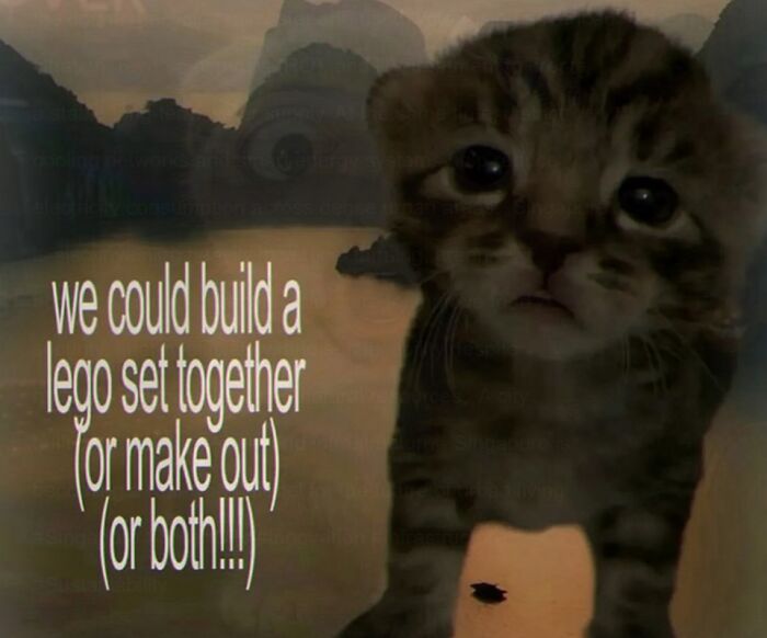 A weird meme with a sad kitten and text about building LEGO or making out.