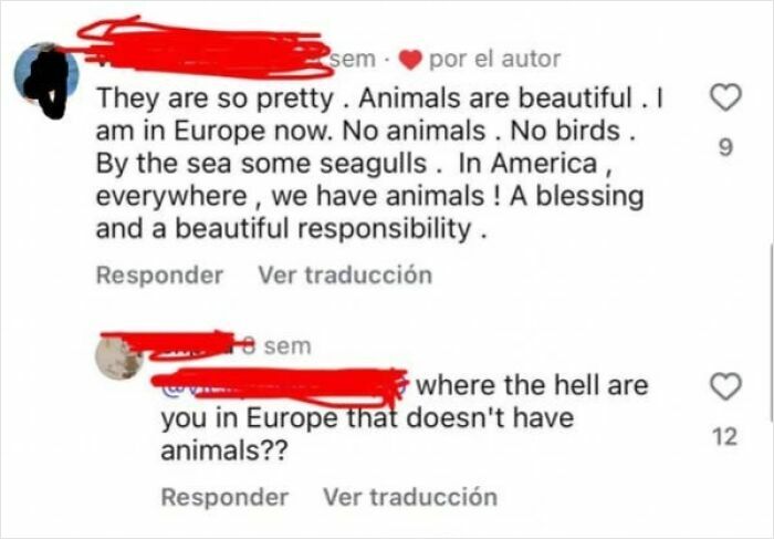 A screenshot showing a confused American user claiming there are no animals in Europe, highlighting US confusion.