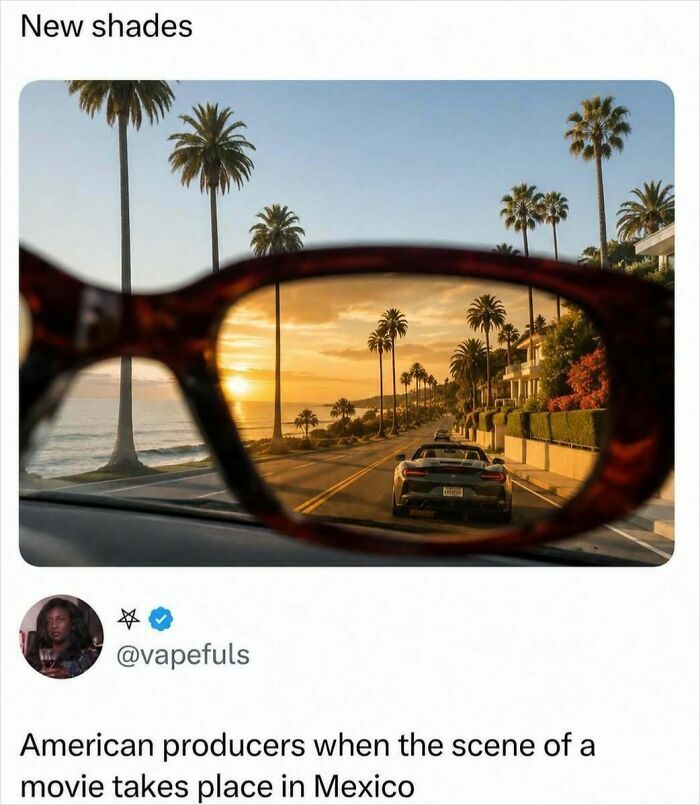 A hilarious meme depicting a sunset scene with palm trees viewed through orange-tinted sunglasses, representing American movie producers.