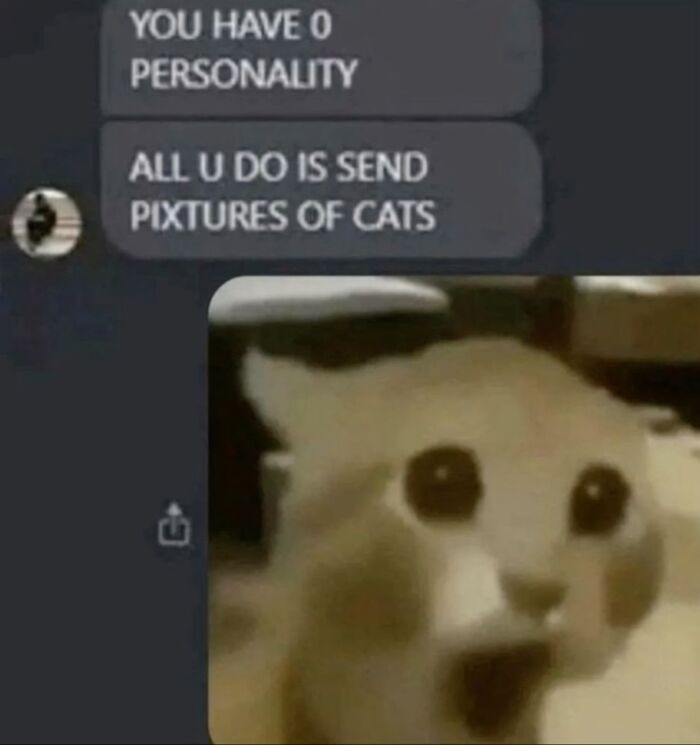 A cringe image of a surprised cat face in a chat overlaying a message about personality and cat pictures.