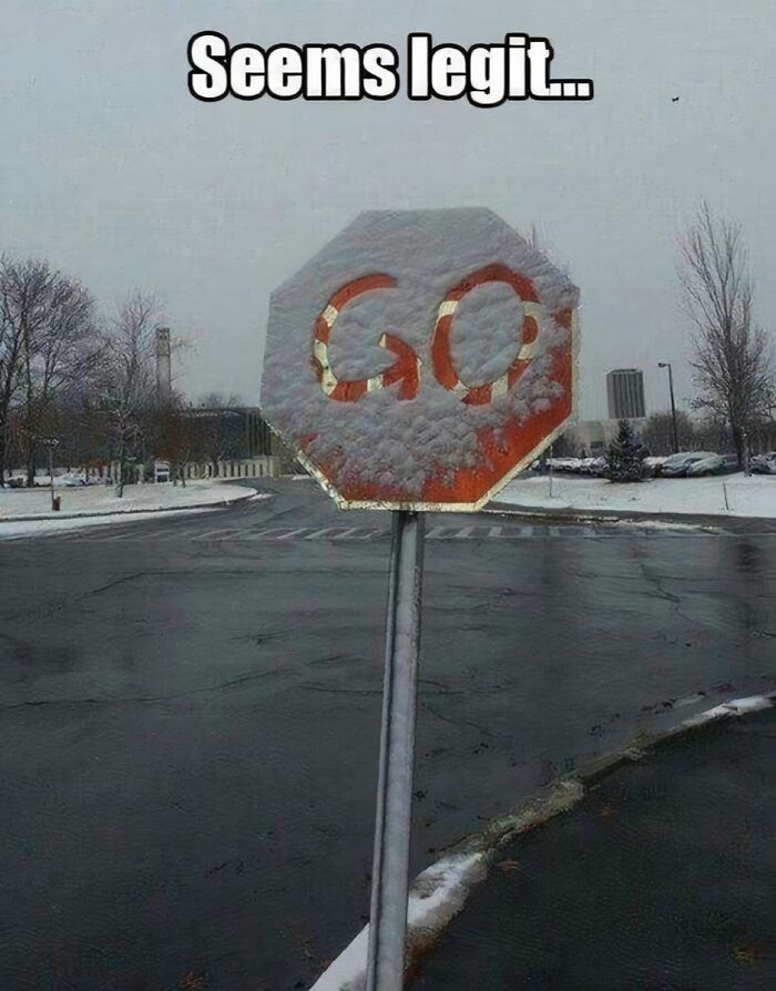 A cringe image of a stop sign covered in snow, making it look like it says GO instead of STOP, with text saying Seems legit...