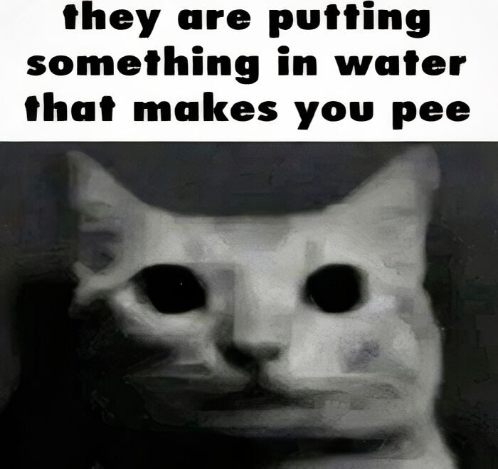A cringe image of a cat with wide, dark eyes and a distressed expression.