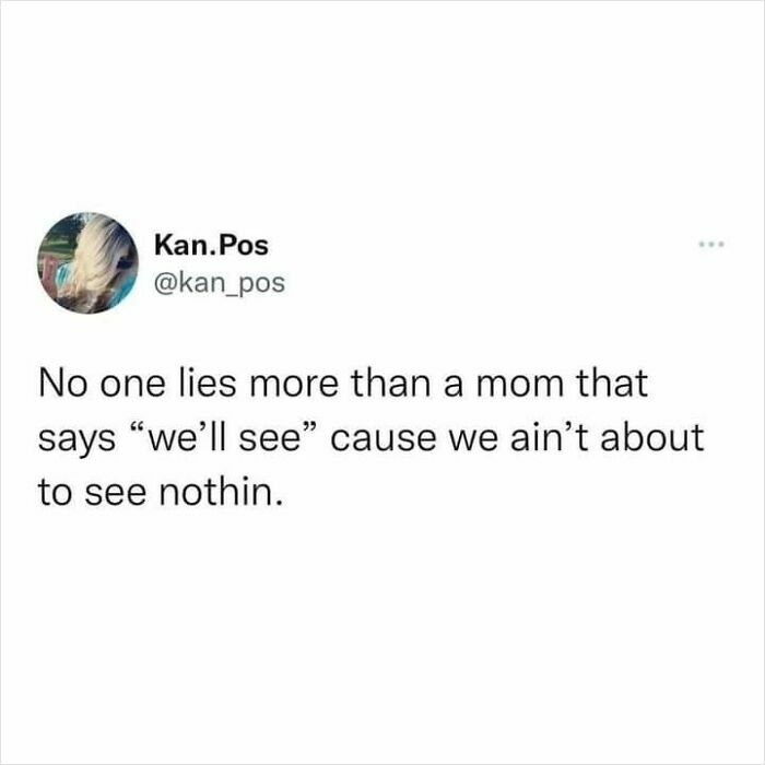A meme with text: No one lies more than a mom that says we'll see cause we ain't about to see nothin.