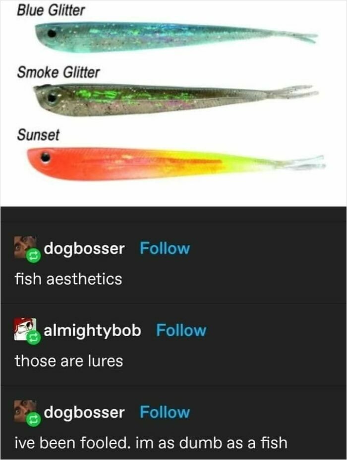 A meme showing fish lures mistaken for fish, with text about being fooled. Send your friends this meme.