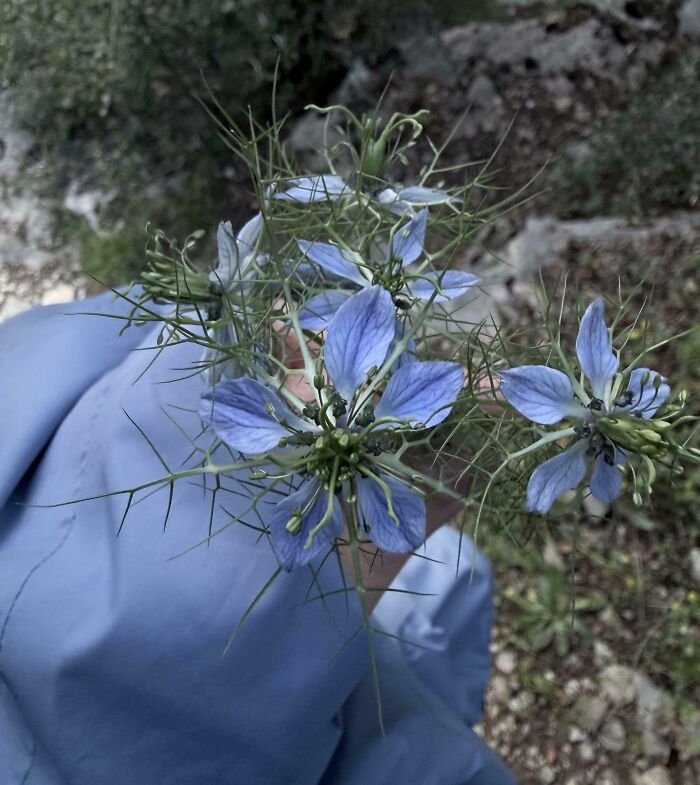 A hand holding beautiful blue flowers with satisfying paint matches to a blue jacket.