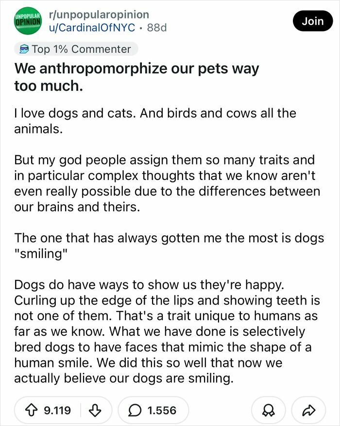 A Reddit post titled We anthropomorphize our pets way too much, offering a bold take that may change how you see pets.