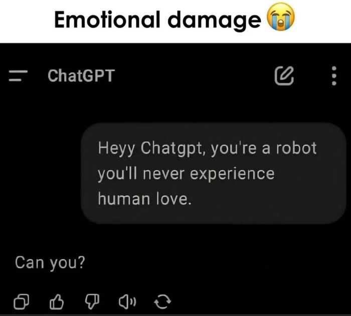 Funny AI meme showing a ChatGPT conversation about emotional damage from a user asking if it can love.