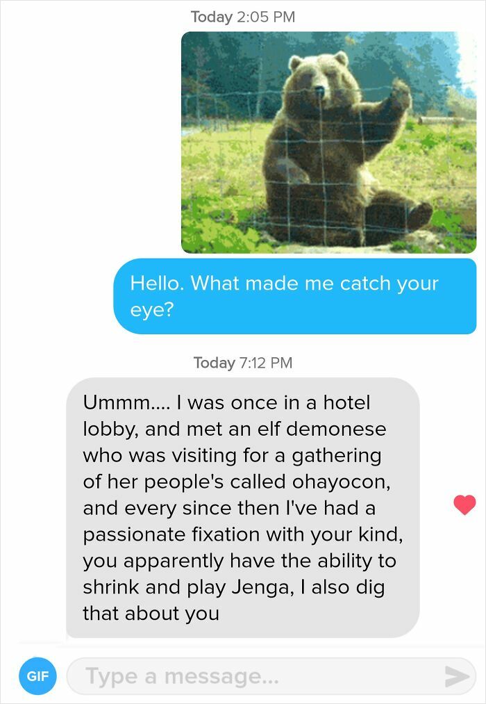 Funny Tinder Texts Messages: A unique and lengthy response to a simple 'What made me catch your eye?' with a bear picture.