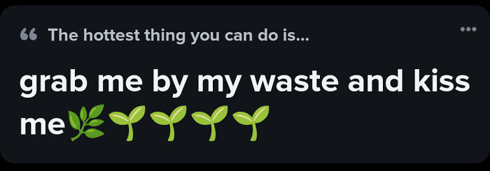 A Tinder profile bio with a poorly spelled phrase: grab me by my waste and kiss me with leaf emojis, a cringe Tinder profile.