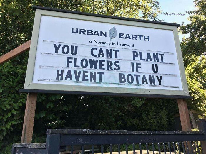 A sign with a dumb pun about botany, an example of incredibly dumb puns.