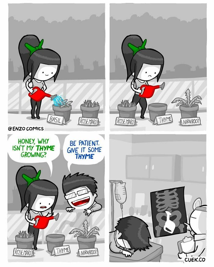 A four-panel comic strip about thyme not growing and a dumb pun, leading to an x-ray.