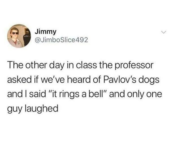 A tweet about a dumb pun related to Pavlov's dogs, which rings a bell.