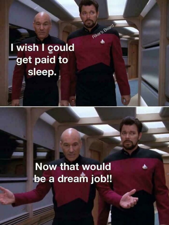 A Star Trek meme featuring Captain Picard and Riker, delivering dumb puns about wanting to be paid to sleep.