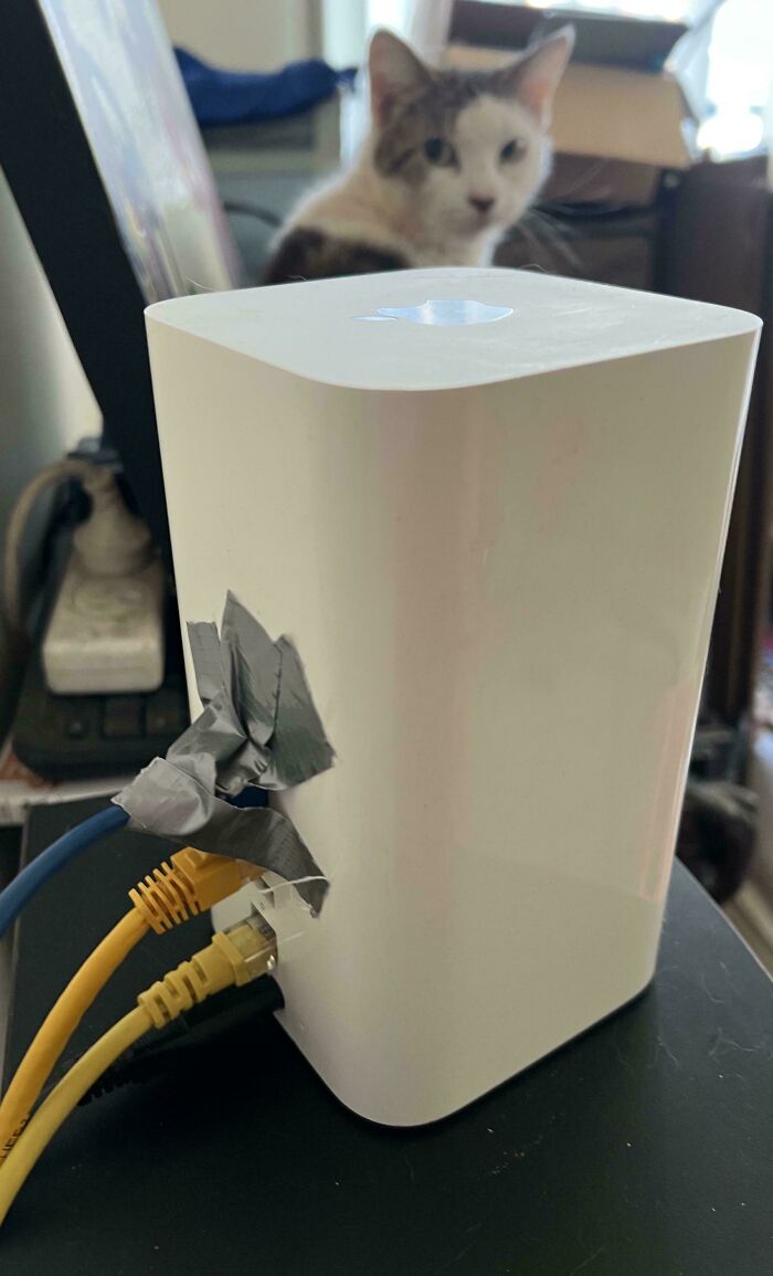 A cat looks at a router with unhinged ways to fix something with tape holding wires.