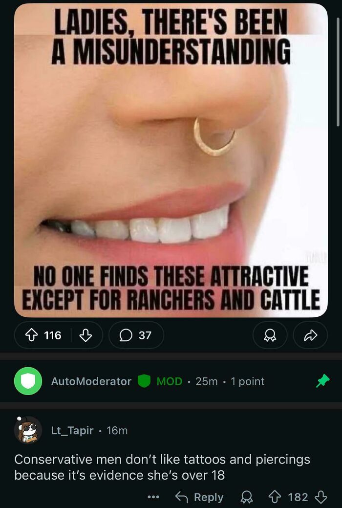 A funny and savage image with comments section about ladies with nose rings and conservative men.