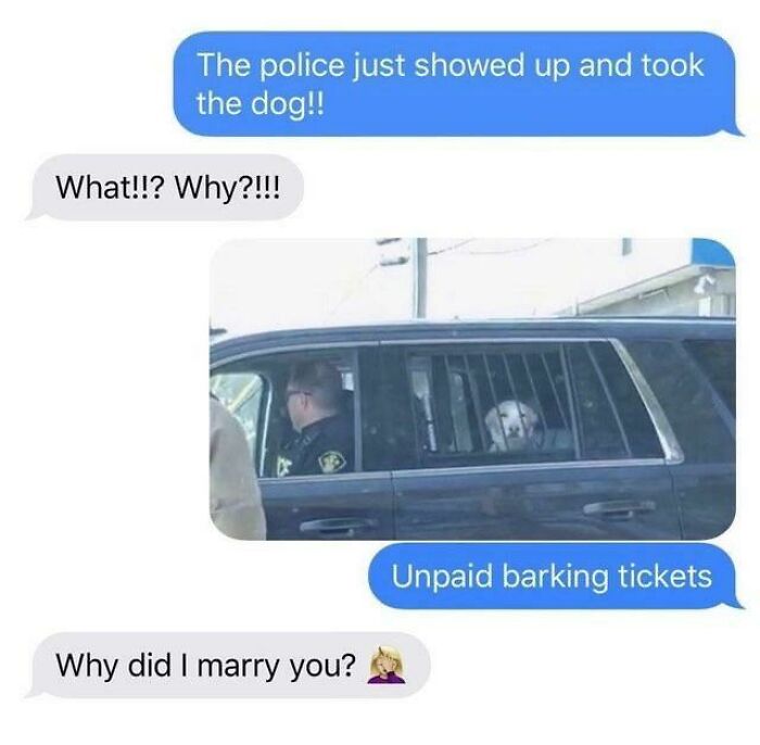A text message conversation about a dog being taken by police for unpaid barking tickets, a funny dumb pun.