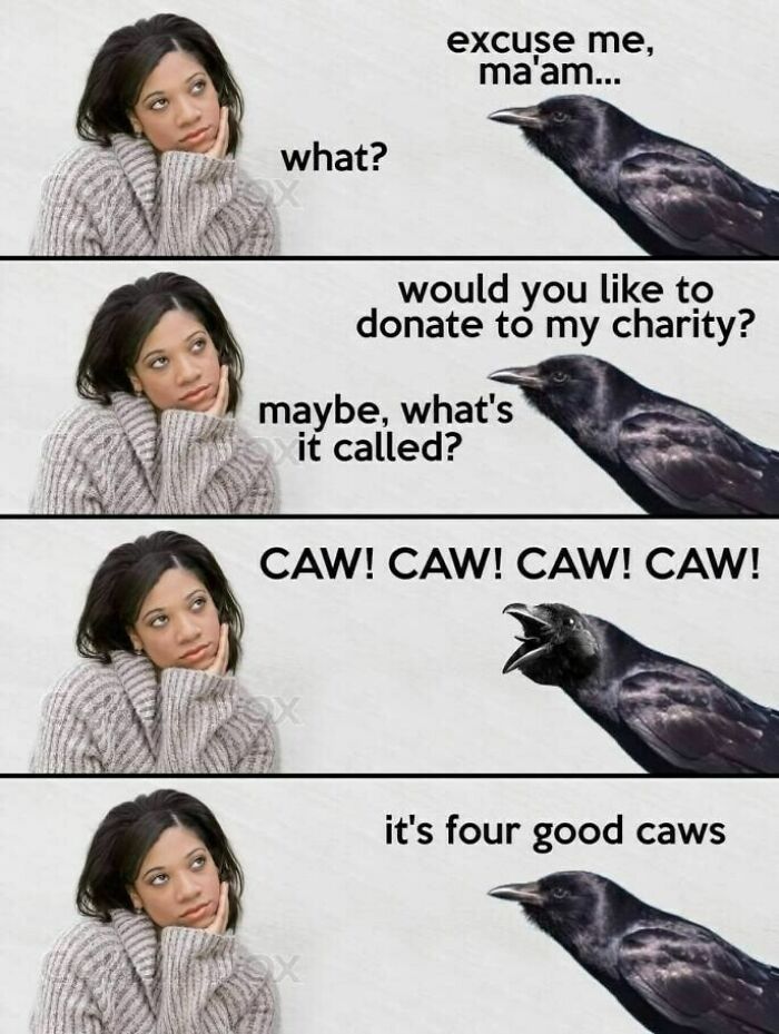 A woman looks annoyed as a crow asks for charity, revealing it's 'four good caws' – a dumb pun.