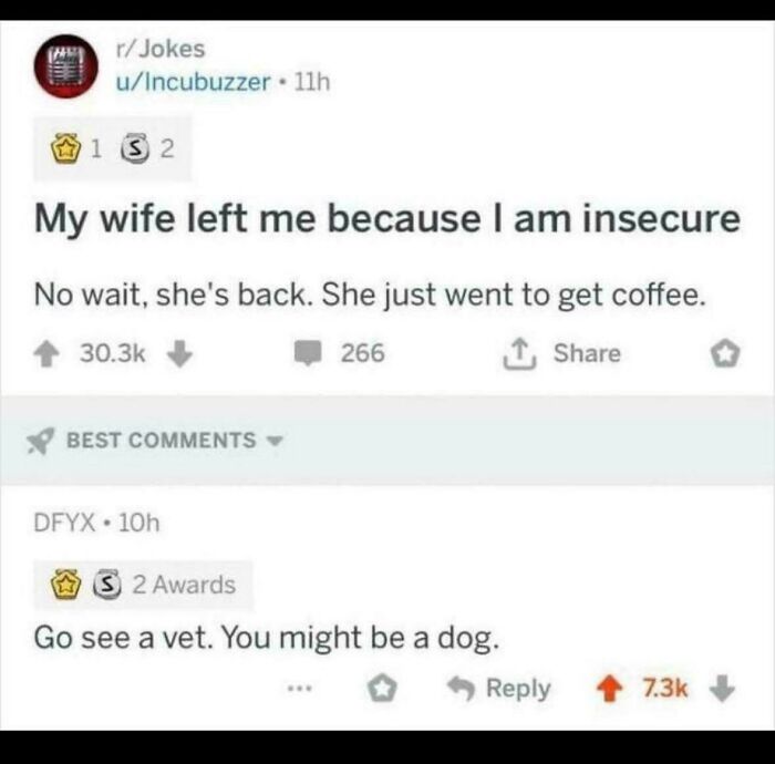 Funny and savage comments section example: a joke about a wife leaving, with a savage comment suggesting the original poster is a dog.