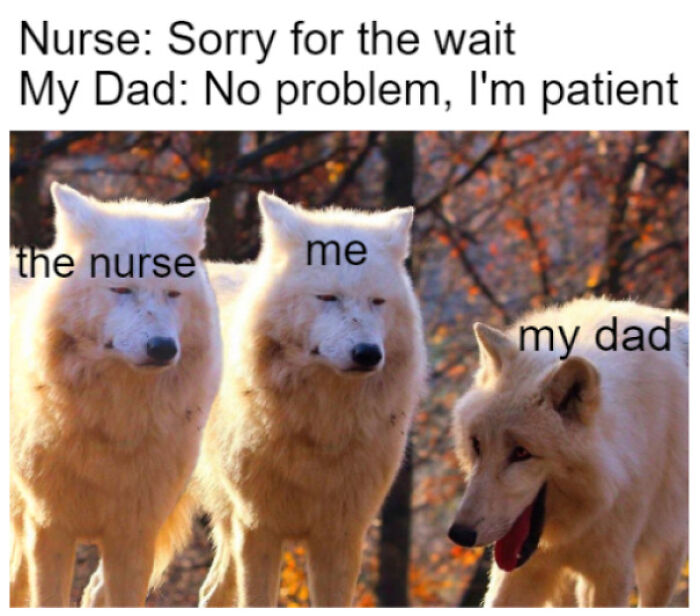 An image of three wolves with text overlay creating a dumb pun about a patient dad, impossible to hate.